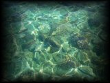 Kr�ta �ecko -  kameny a rypky :-) pod vodou