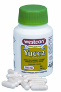 yucca